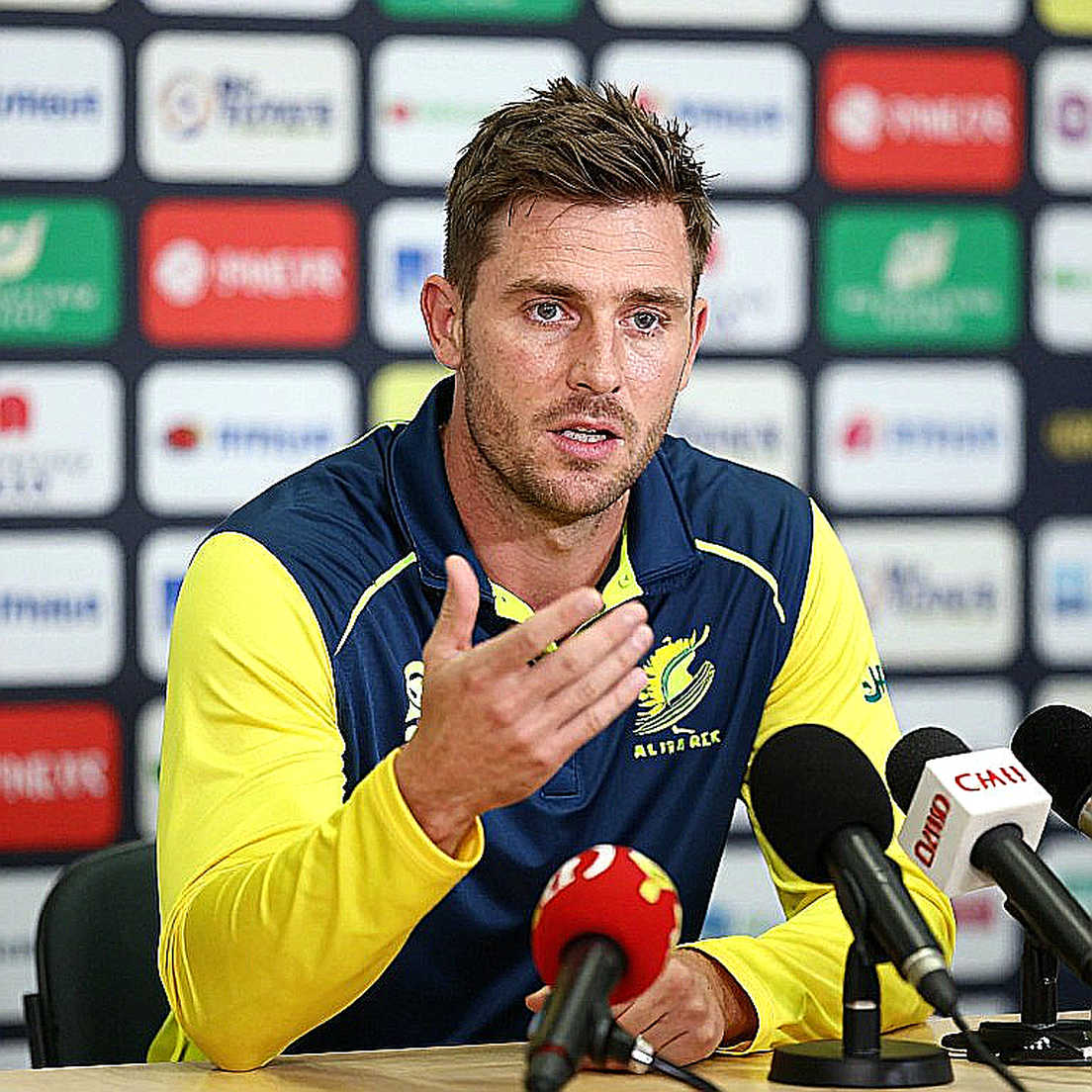 The Auction Hammer and the Field's Gap: Price and Role in Asian Cricket's Transfer Window